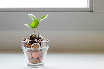 Green plant growing from a glass jar of coins, representing financial growth and trust in financial advisory services
